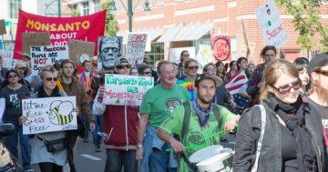 March Against Monsanto - 10/21/13