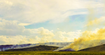 Spring Glade Fire - 7/22/17