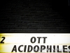 Acidophiles w/ OTT – 10/12/11 (Nicholas DeSuza)