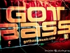 Got Bass & House Of Dub: Cervantes – 8/25/11 (Eugene Collins)