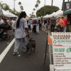 2019-7.11-Oceanside-Farmers-Market-13-of-15