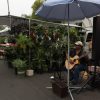 2019-7.11-Oceanside-Farmers-Market-9-of-15