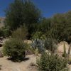 2019-7.15-Palm-Springs-Art-Museum-19-of-21