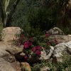 2019-7.15-Palm-Springs-Art-Museum-Panorama-1-of-2